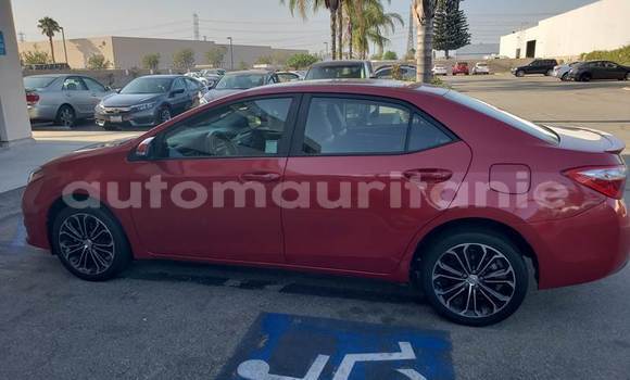 Acheter Occasion Voiture Toyota Corolla Rouge à Nouakchott, Nouakchott Ouest Acheter Occasion Voiture Toyota Corolla Rouge à Nouakchott, Nouakchott Ouest