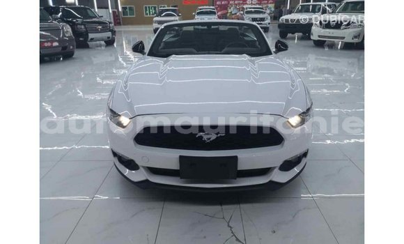 Acheter Import Voiture Ford Mustang Blanc à Import - Dubai, Adrar