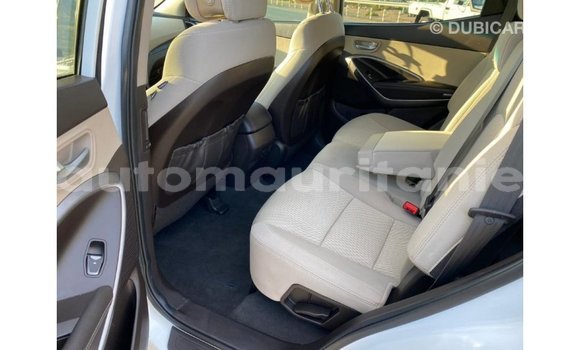 Acheter Import Voiture Hyundai Santa Fe Blanc à Import - Dubai, Adrar Acheter Import Voiture Hyundai Santa Fe Blanc à Import - Dubai, Adrar