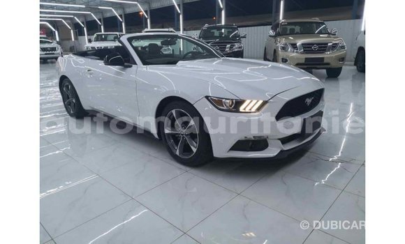 Buy Import Ford Mustang White Car in Import - Dubai in Adrar Buy Import Ford Mustang White Car in Import - Dubai in Adrar