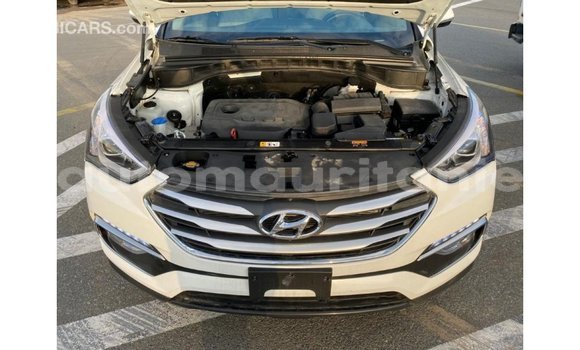Acheter Import Voiture Hyundai Santa Fe Blanc à Import - Dubai, Adrar Acheter Import Voiture Hyundai Santa Fe Blanc à Import - Dubai, Adrar