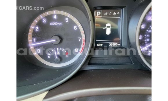 Acheter Import Voiture Hyundai Santa Fe Blanc à Import - Dubai, Adrar Acheter Import Voiture Hyundai Santa Fe Blanc à Import - Dubai, Adrar