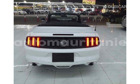 Buy Import Ford Mustang White Car in Import - Dubai in Adrar Buy Import Ford Mustang White Car in Import - Dubai in Adrar