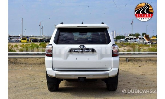 Buy Import Toyota HiAce White Truck in Import - Dubai in Adrar Buy Import Toyota HiAce White Truck in Import - Dubai in Adrar