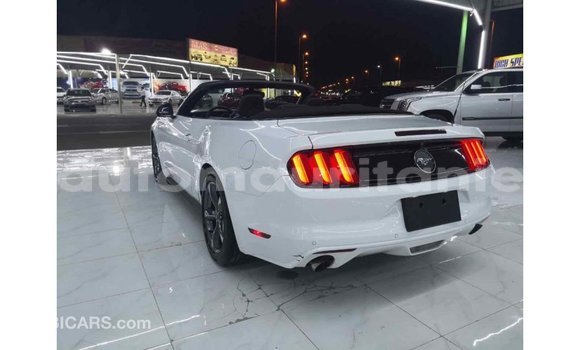 Buy Import Ford Mustang White Car in Import - Dubai in Adrar Buy Import Ford Mustang White Car in Import - Dubai in Adrar