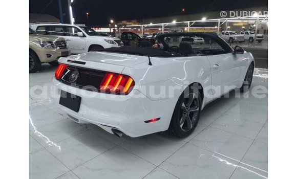 Buy Import Ford Mustang White Car in Import - Dubai in Adrar Buy Import Ford Mustang White Car in Import - Dubai in Adrar