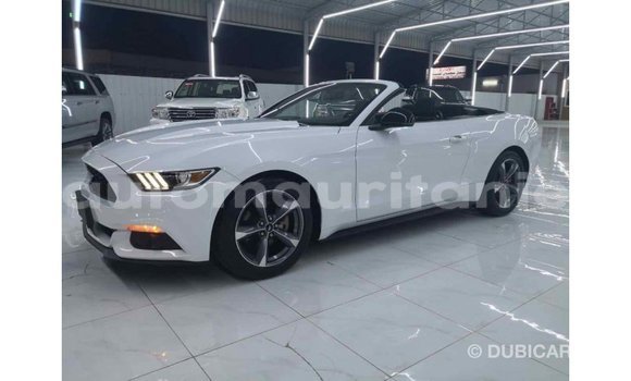 Buy Import Ford Mustang White Car in Import - Dubai in Adrar Buy Import Ford Mustang White Car in Import - Dubai in Adrar
