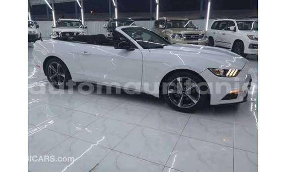 Buy Import Ford Mustang White Car in Import - Dubai in Adrar Buy Import Ford Mustang White Car in Import - Dubai in Adrar