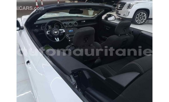 Buy Import Ford Mustang White Car in Import - Dubai in Adrar Buy Import Ford Mustang White Car in Import - Dubai in Adrar