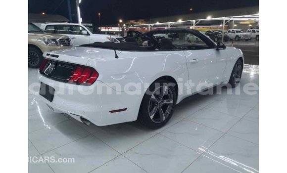 Buy Import Ford Mustang White Car in Import - Dubai in Adrar Buy Import Ford Mustang White Car in Import - Dubai in Adrar
