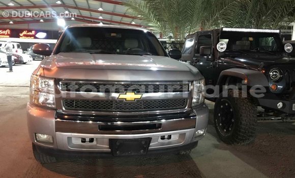 Buy Import Chevrolet Silverado Other Car in Import - Dubai in Adrar Buy Import Chevrolet Silverado Other Car in Import - Dubai in Adrar