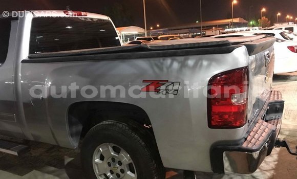 Buy Import Chevrolet Silverado Other Car in Import - Dubai in Adrar Buy Import Chevrolet Silverado Other Car in Import - Dubai in Adrar