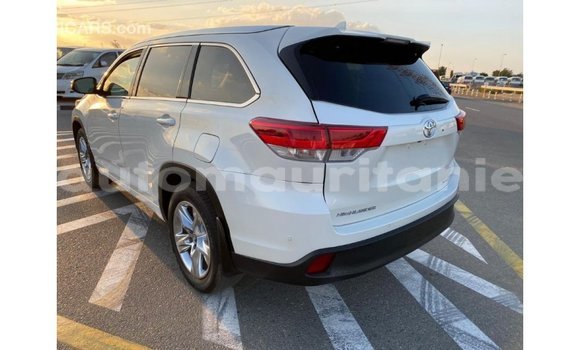 Acheter Import Voiture Toyota Highlander Blanc à Import - Dubai, Adrar Acheter Import Voiture Toyota Highlander Blanc à Import - Dubai, Adrar