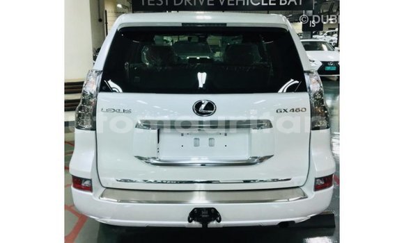 Buy Import Lexus GS White Car in Import - Dubai in Adrar Buy Import Lexus GS White Car in Import - Dubai in Adrar