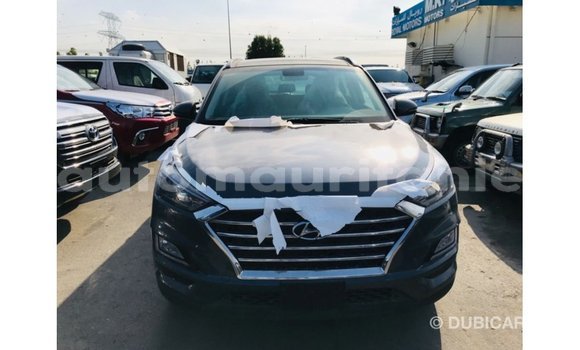 Acheter Import Voiture Hyundai Tucson Autre à Import - Dubai, Adrar Acheter Import Voiture Hyundai Tucson Autre à Import - Dubai, Adrar