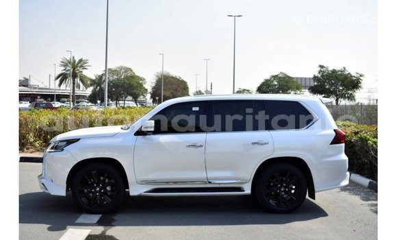 Buy Import Lexus LX White Car in Import - Dubai in Adrar Buy Import Lexus LX White Car in Import - Dubai in Adrar