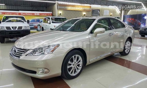 Buy Import Lexus ES Other Car in Import - Dubai in Adrar Buy Import Lexus ES Other Car in Import - Dubai in Adrar