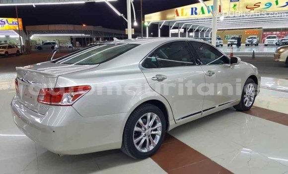 Buy Import Lexus ES Other Car in Import - Dubai in Adrar Buy Import Lexus ES Other Car in Import - Dubai in Adrar
