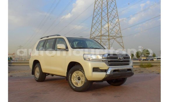 Buy Import Toyota Land Cruiser White Car in Import - Dubai in Adrar Buy Import Toyota Land Cruiser White Car in Import - Dubai in Adrar
