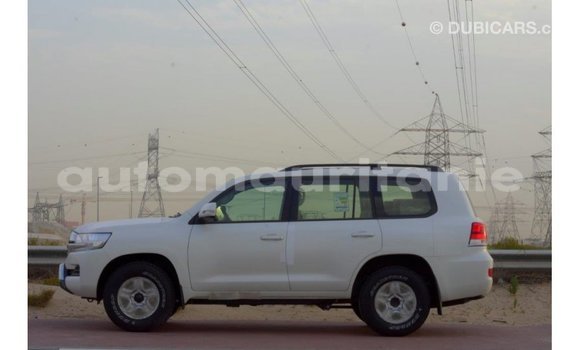 Buy Import Toyota Land Cruiser White Car in Import - Dubai in Adrar Buy Import Toyota Land Cruiser White Car in Import - Dubai in Adrar