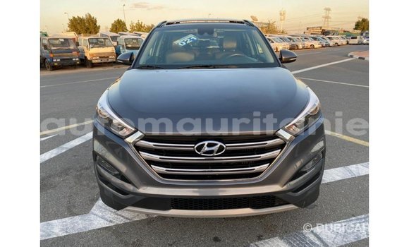 Acheter Import Voiture Hyundai Tucson Autre à Import - Dubai, Adrar Acheter Import Voiture Hyundai Tucson Autre à Import - Dubai, Adrar