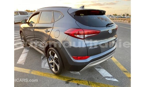 Acheter Import Voiture Hyundai Tucson Autre à Import - Dubai, Adrar Acheter Import Voiture Hyundai Tucson Autre à Import - Dubai, Adrar