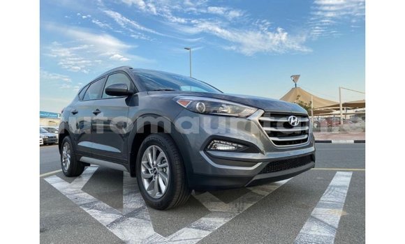 Acheter Import Voiture Hyundai Tucson Blanc à Import - Dubai, Adrar Acheter Import Voiture Hyundai Tucson Blanc à Import - Dubai, Adrar