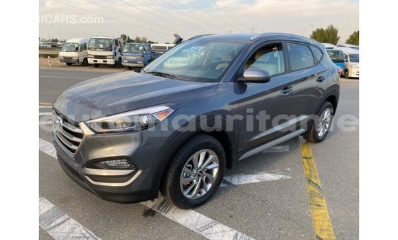 Acheter Import Voiture Hyundai Tucson Blanc à Import - Dubai, Adrar Acheter Import Voiture Hyundai Tucson Blanc à Import - Dubai, Adrar