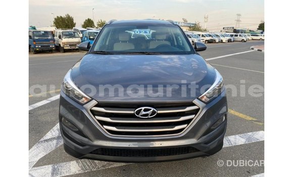 Acheter Import Voiture Hyundai Tucson Blanc à Import - Dubai, Adrar Acheter Import Voiture Hyundai Tucson Blanc à Import - Dubai, Adrar