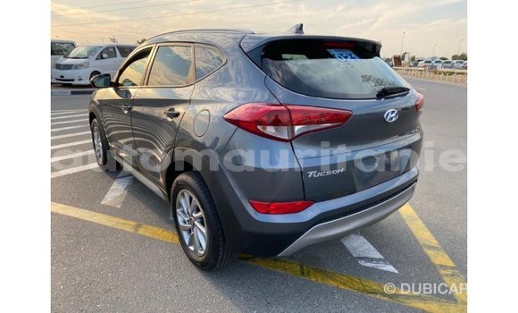 Acheter Import Voiture Hyundai Tucson Blanc à Import - Dubai, Adrar Acheter Import Voiture Hyundai Tucson Blanc à Import - Dubai, Adrar