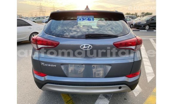 Acheter Import Voiture Hyundai Tucson Blanc à Import - Dubai, Adrar Acheter Import Voiture Hyundai Tucson Blanc à Import - Dubai, Adrar