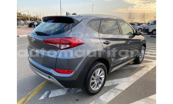 Acheter Import Voiture Hyundai Tucson Blanc à Import - Dubai, Adrar Acheter Import Voiture Hyundai Tucson Blanc à Import - Dubai, Adrar