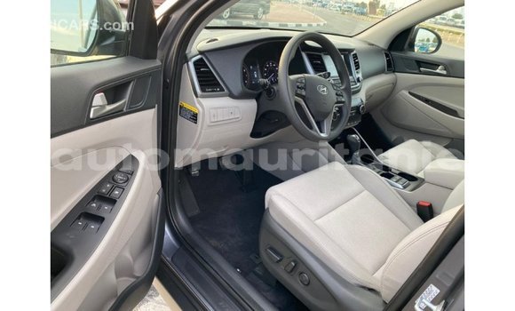 Acheter Import Voiture Hyundai Tucson Blanc à Import - Dubai, Adrar Acheter Import Voiture Hyundai Tucson Blanc à Import - Dubai, Adrar