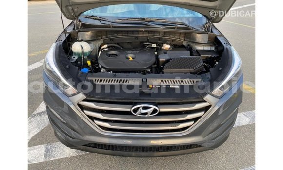 Acheter Import Voiture Hyundai Tucson Blanc à Import - Dubai, Adrar Acheter Import Voiture Hyundai Tucson Blanc à Import - Dubai, Adrar