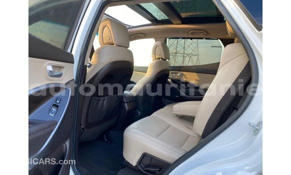 Acheter Import Voiture Hyundai Santa Fe Blanc à Import - Dubai, Adrar Acheter Import Voiture Hyundai Santa Fe Blanc à Import - Dubai, Adrar
