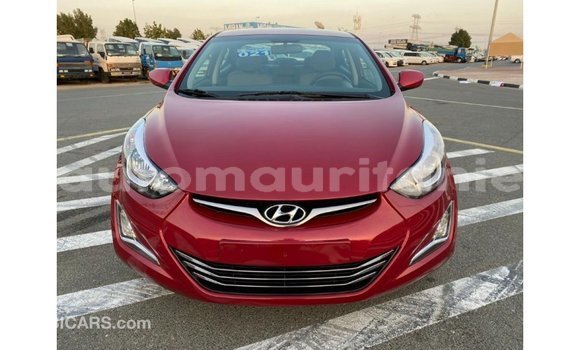 Acheter Import Voiture Hyundai Elantra Rouge à Import - Dubai, Adrar Acheter Import Voiture Hyundai Elantra Rouge à Import - Dubai, Adrar
