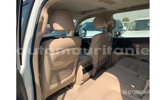 Acheter Import Voiture Toyota Land Cruiser Blanc à Import - Dubai, Adrar Acheter Import Voiture Toyota Land Cruiser Blanc à Import - Dubai, Adrar