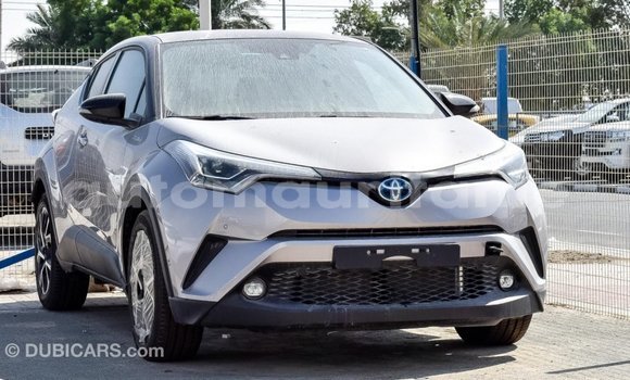 Acheter Import Voiture Toyota C-HR Autre à Import - Dubai, Adrar Acheter Import Voiture Toyota C-HR Autre à Import - Dubai, Adrar