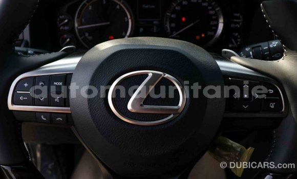 Buy Import Lexus LX White Car in Import - Dubai in Adrar Buy Import Lexus LX White Car in Import - Dubai in Adrar