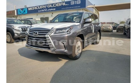 Buy Import Lexus LX Other Car in Import - Dubai in Adrar Buy Import Lexus LX Other Car in Import - Dubai in Adrar