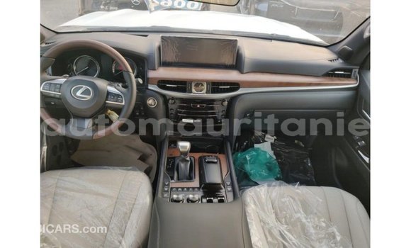 Buy Import Lexus LX Blue Car in Import - Dubai in Adrar Buy Import Lexus LX Blue Car in Import - Dubai in Adrar