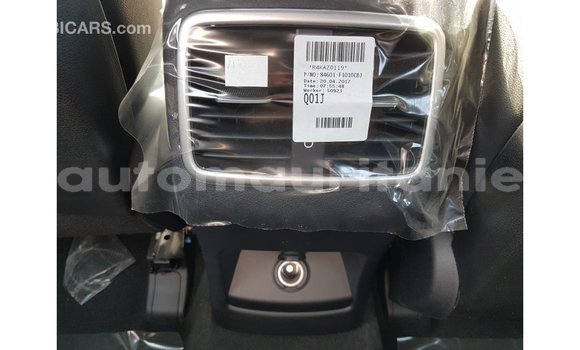 Acheter Import Voiture Kia Sportage Blanc à Import - Dubai, Adrar Acheter Import Voiture Kia Sportage Blanc à Import - Dubai, Adrar