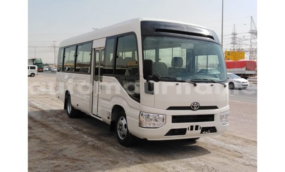 Buy Import Toyota Coaster White Car in Import - Dubai in Adrar Buy Import Toyota Coaster White Car in Import - Dubai in Adrar