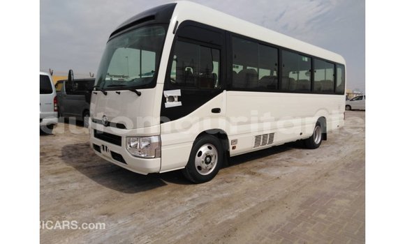 Buy Import Toyota Coaster White Car in Import - Dubai in Adrar Buy Import Toyota Coaster White Car in Import - Dubai in Adrar