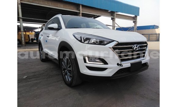 Acheter Import Voiture Hyundai Tucson Blanc à Import - Dubai, Adrar Acheter Import Voiture Hyundai Tucson Blanc à Import - Dubai, Adrar