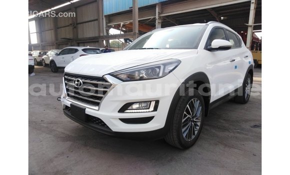 Acheter Import Voiture Hyundai Tucson Blanc à Import - Dubai, Adrar Acheter Import Voiture Hyundai Tucson Blanc à Import - Dubai, Adrar