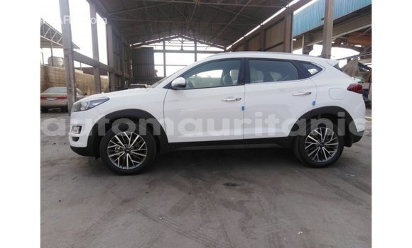 Acheter Import Voiture Hyundai Tucson Blanc à Import - Dubai, Adrar Acheter Import Voiture Hyundai Tucson Blanc à Import - Dubai, Adrar