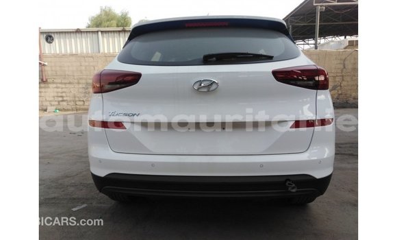 Acheter Import Voiture Hyundai Tucson Blanc à Import - Dubai, Adrar Acheter Import Voiture Hyundai Tucson Blanc à Import - Dubai, Adrar