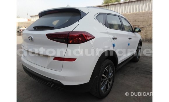 Acheter Import Voiture Hyundai Tucson Blanc à Import - Dubai, Adrar Acheter Import Voiture Hyundai Tucson Blanc à Import - Dubai, Adrar