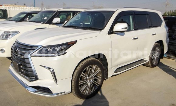 Acheter Import Voiture Lexus LX Blanc à Import - Dubai, Adrar Acheter Import Voiture Lexus LX Blanc à Import - Dubai, Adrar